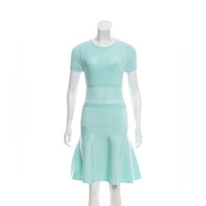 Cushnie et Ochs dress